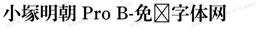 小塚明朝 Pro B字体转换